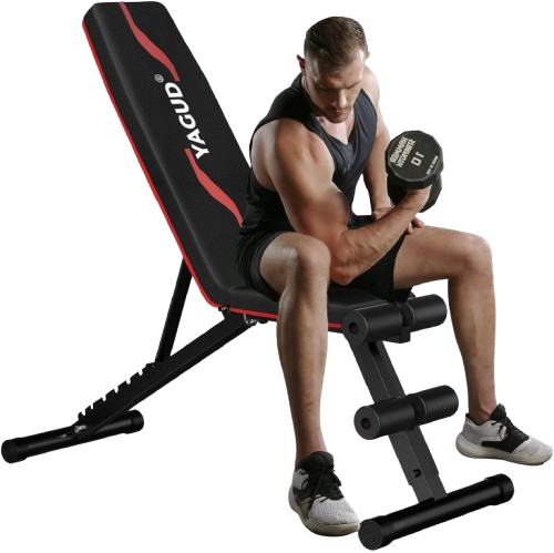 Adjustable Workout Benches for Home Gym